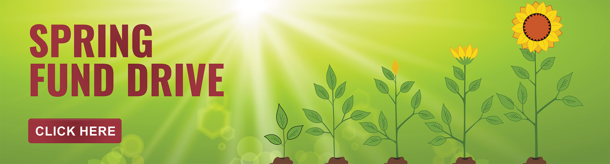 HOTN :: Catholic Mass Online - Catholic Prayers & Resources